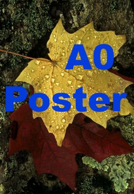 Poster A0 Size