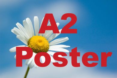 Poster A2 Size